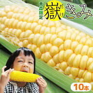 エントリーでポイント5倍 2026予約開始 甘さを極めた とうもろこし 嶽きみ 青森県が誇るブランド 【とう…