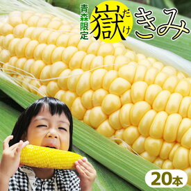 エントリーでポイント5倍 甘さを極めた とうもろこし 嶽きみ お得な20本メガセット青森県が誇るブランド 【とうもろこし 嶽きみ20本】 送料無料 トウモロコシ だけきみ 果物のような甘さ 岩木山 [※品種指定不可][※産地直送のため同梱不可][※冷蔵便]