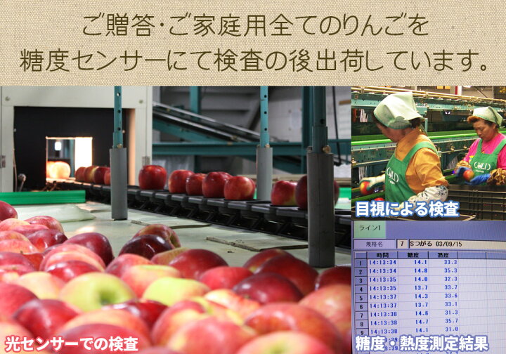 楽天市場】2022予約スタート 葉っぱの影は甘さのサイン 【葉とらずりんご ふじ3kg プレミアム】 贈答用(8-10玉) 糖度13度超え 累計31万箱突破 本場青森 GOLD農園から産直新鮮便 送料無料 お歳暮 サンふじ りんご ギフト リンゴ 林檎 アップル 青森りんご [産地直送同梱 ... 楽天市場】2022予約スタート 葉っぱの影は甘さのサイン 【葉とらずりんご ふじ3kg プレミアム】 贈答用(8-10玉) 糖度13度超え 累計31万箱突破 本場青森 GOLD農園から産直新鮮便 送料無料 お歳暮 サンふじ りんご ギフト リンゴ 林檎 アップル 青森りんご [産地直送同梱 ...