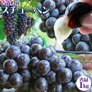 Gg[Ń|Cg5{ yXYԂǂ X`[x1kgz(3-5[ TCYS[2L) p  X ߓcY ~̂Ԃǂ X`[x [퉷][Yn̂ߓs]