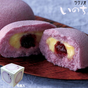 _Ԍ^ X yY XC[c JX^[hP[L ŷ@~̂Ԃǂ4z uhE X`[x P[L OmI@݂₰ OO[SP][퉷][XiƂ̓]