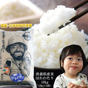 エントリーでポイント5倍 農薬・化学肥料不使用 幸の米農園 荒関さんの【青森県産 特別栽培米 はれわたり10kg(5kg×2袋)】 2025年度産 米 送料無料 安心・安全な美味しさを青森からお届け [