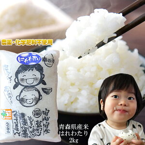 Gg[Ń|Cg5{ _Ew엿sgp K̕Ĕ_ rւ́yXY ʍ͔| ͂킽2kgz 2025NxY   SESȔX炨͂ [SP]