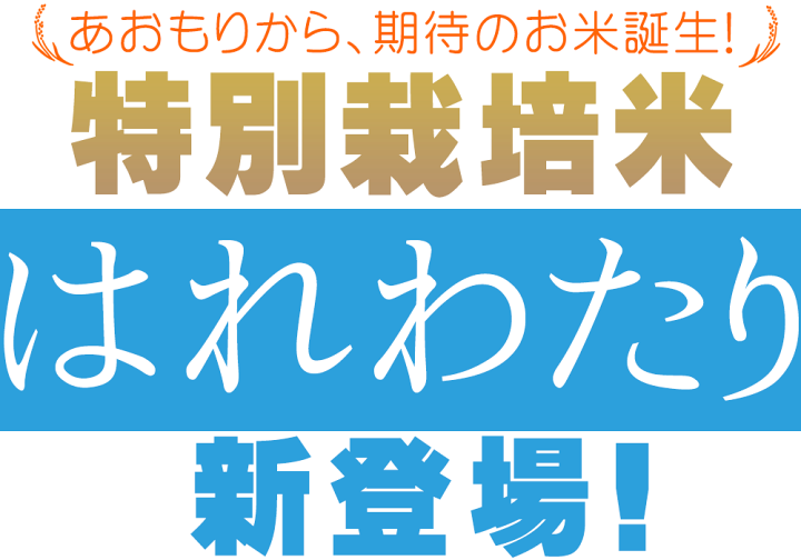 お米　はれわたり 合計15キロ 楽天市場】エントリーでポイント5倍 農薬・化学肥料不使用 幸の