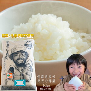 _Ew엿sgp K̕Ĕ_ rւ́yXY ʍ͔| V10kgi5kg×2܁jz 2025NxY   SESȔX炨͂ [SP]