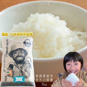 Gg[Ń|Cg5{ _Ew엿sgp K̕Ĕ_ rւ́yXY ʍ͔| V5kgz 2025NxY   SESȔX炨͂ [SP]