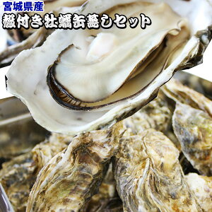 Gg[Ń|Cg5{ ykty ʏZbgzi15j{邩犈܂ܔ  15ŎyɁI[①][iƓs]