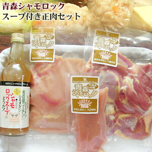 X n{ VbN yZbgiX[vtjzYnőNxQIz͗①ցiⓀsj