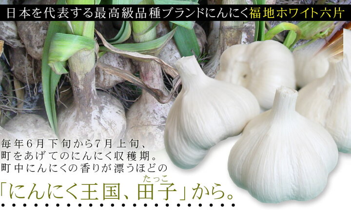 楽天市場】エントリーでポイント5倍 青森県産 田子 にんにく 上級品M  
