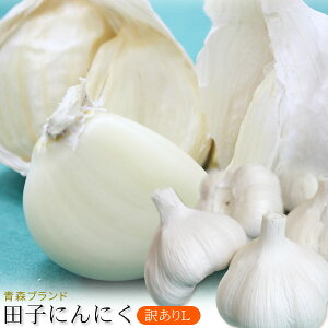 XY cq ɂɂ 󂠂 LTCY  2025NxY ycqYɂɂ CLz(14`16)XւuhYncqAYnł͂܂I [퉷][XiƂ