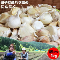 エントリーでポイント5倍 青森県産 田子 にんにく 訳あり 2026年度産 【田子町産 バラ詰めにんにく 訳あ…