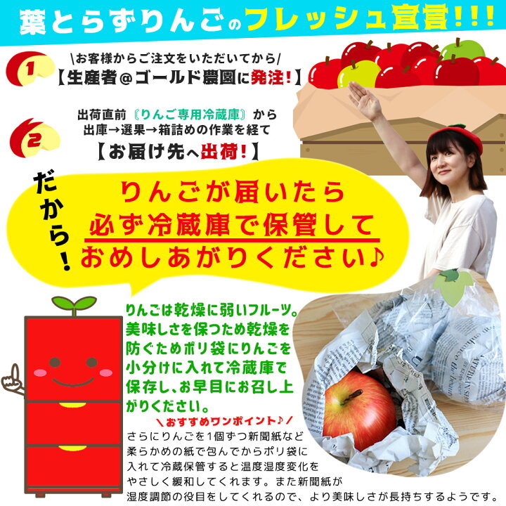 楽天市場】エントリーでポイント5倍 りんご 訳あり 10kg 送料無料 規格 