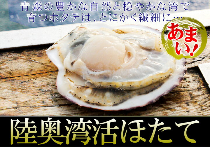 楽天市場 ほたて 活貝 送料無料 青森陸奥湾 耳吊り ホタテ 3kg前後15 25枚 鮮度が命の漁師直送便 ホタテ 貝焼き味噌 刺し身 などご堪能あれ クール便 産地直送のため同梱不可 かめあし商店 楽天市場 ほたて 活貝 送料無料 青森陸奥湾 耳吊り ホタテ 3kg前後15 25枚 鮮度が命の漁師直送便 ホタテ 貝焼き味噌 刺し身 などご堪能あれ クール便 産地直送のため同梱不可 かめあし商店