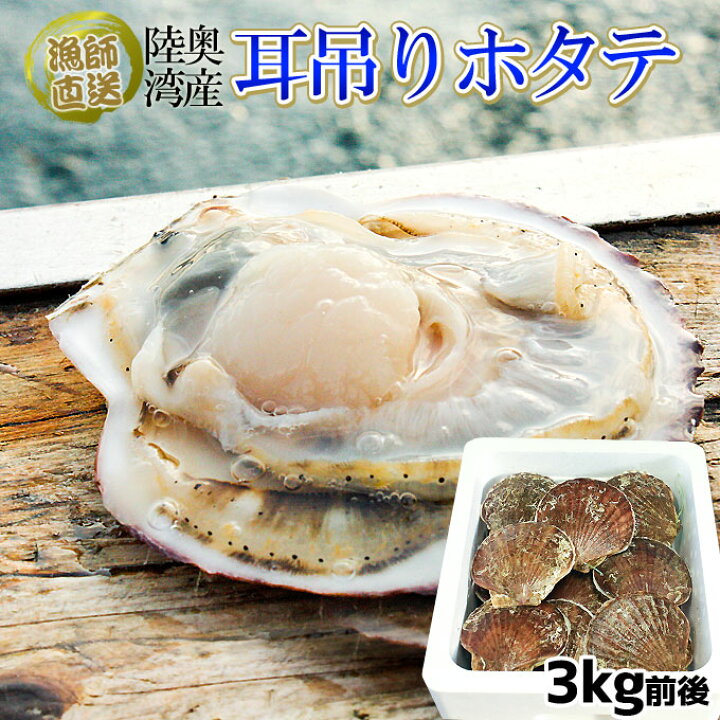楽天市場 超目玉 ほたて 活貝 送料無料 青森陸奥湾 耳吊り ホタテ 3kg前後13 23枚 鮮度が命の漁師直送便 ホタテ 貝焼き味噌 刺し身 などご堪能あれ クール便 産地直送のため同梱不可 かめあし商店
