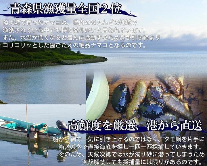 楽天市場】エントリーでポイント5倍 青森県陸奥湾産 ナマコ と ホタテ 