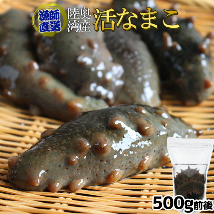 楽天市場】青森県陸奥湾産 なまこ 送料無料 【活なまこ500g前後】有名 
