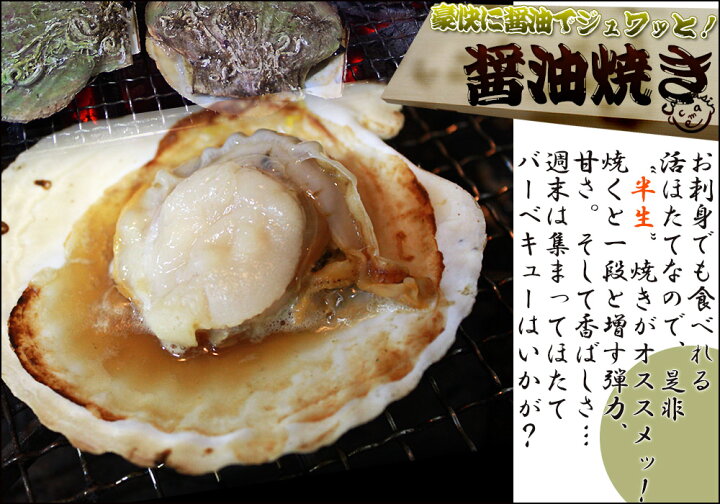 楽天市場 ほたて 活貝 送料無料 青森陸奥湾 耳吊り ホタテ 3kg前後15 25枚 鮮度が命の漁師直送便 ホタテ 貝焼き味噌 刺し身 などご堪能あれ クール便 産地直送のため同梱不可 かめあし商店