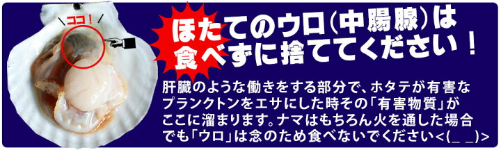 楽天市場 ほたて 活稚貝 送料無料 青森陸奥湾 ホタテ稚貝 2kg前後 40 60枚 料理に万能なホタテの赤ちゃん ホタテ みそ汁 炊き込みご飯 シーフード カレー パスタ など大活躍 刺し身 でも絶品 ベビーホタテ クール便 産地直送のため同梱不可 かめあし商店
