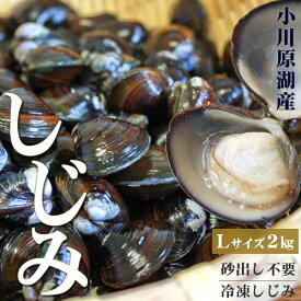 しじみ 送料無料 青森県産 【小川原湖産 冷凍しじみ Lサイズ2kg（500g×4パック）】 便利な小分けタイプ 旨みたっぷり濃厚な出汁が出る小川原湖産のしじみ貝[※冷凍便][※他商品との同梱不可]