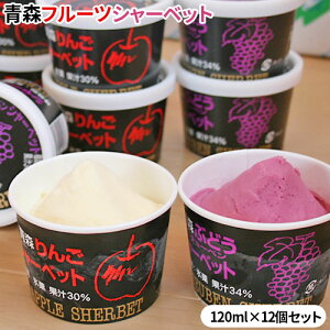 Gg[P5{I1/2ő100PobN Iׂyʏ` V[xbg 120ml×12z   Ԃǂ Dȃ^CvIׂ܂ OOIWi V[xbg ACX u₩ȉʎ