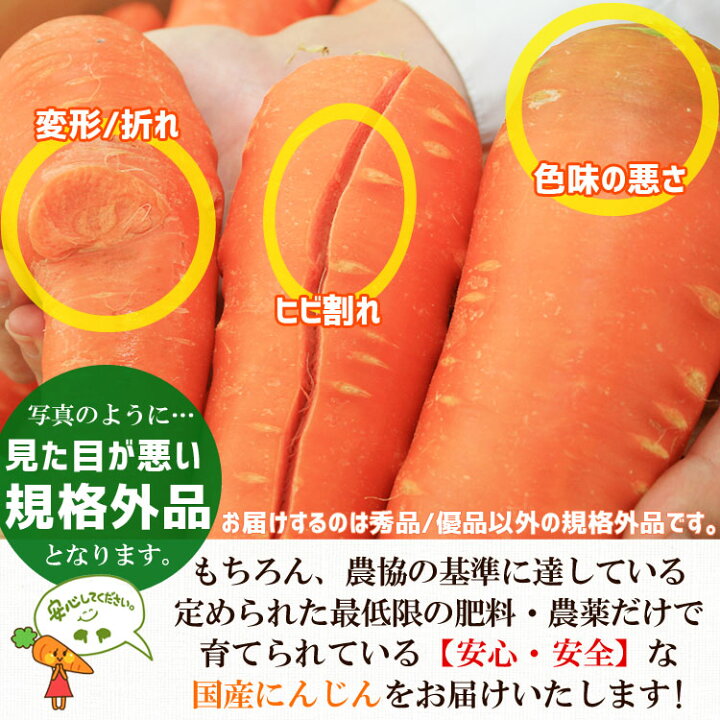 楽天市場】送料無料 規格外品【国産訳あり にんじん10kg】一年を通して 