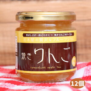 yĂ񂲃W 12Zbgz200g×12 vU[uX^C ؉W H [SP]