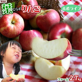 エントリーでポイント5倍 葉っぱの影は甘さのサイン 【葉とらずりんご 未希ライフ2.7kg ファーム】家庭用 (7〜12玉) 送料無料 本場青森 ゴールド農園から産直新鮮便 [※産地直送のため同梱不可]