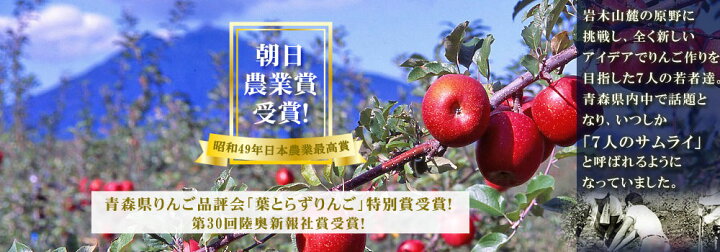 楽天市場 青森 りんご 福袋 葉っぱの影は甘さのサイン 葉とらずりんご ふじ シナノゴールド ファーム5kg 家庭用 13 23玉 本場青森 Gold農園 送料無料 福袋 サンふじ りんご 訳あり 産地直送のため同梱不可 Gold かめあし商店