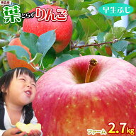 エントリーでポイント5倍 葉っぱの影は甘さのサイン【葉とらずりんご 早生ふじ2.7kg ファーム】 家庭用 (…
