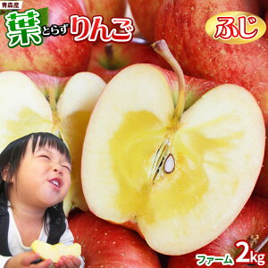 tς̉e͊ẪTC ytƂ炸 ӂ2kg t@[z ƒp(5-9) {X GOLD_  S[h_ Tӂ  S ь Abv 󂠂 X [Yn