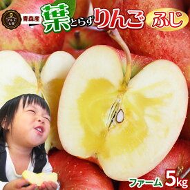 エントリーでポイント5倍 葉っぱの影は甘さのサイン【葉とらずりんご ふじ5kg ファーム】 家庭用(13-23玉) 本場青森 GOLD農園 送料無料 ゴールド農園から産直新鮮便 サンふじ りんご リンゴ 林檎 アップル 訳あり 青森りんご [※産地直送のため同梱不可] 「GOLD」