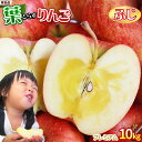 エントリーでポイント5倍 葉っぱの影は甘さのサイン 【葉とらずりんご ふじ10kg プレミアム】 贈答用(14-18玉×2段) 本場青森 送料無料 ゴールド農園 お歳暮 ギフト サンふじ りんご リンゴ 林檎 アップル 青森りんご [産地直送同梱不可]「GOLD」