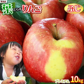 エントリーでポイント5倍 葉っぱの影は甘さのサイン 【葉とらずりんご ふじ10kg プレミアム】 贈答用(14-18玉×2段) 本場青森 送料無料 ゴールド農園 お歳暮 ギフト サンふじ りんご リンゴ 林檎 アップル 青森りんご [産地直送同梱不可]「GOLD」