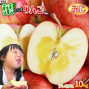 Gg[Ń|Cg5{ tς̉e͊ẪTC ytƂ炸 ӂ10kg v~Az p(14-18×2i) {X  S[h_ Ε Mtg Tӂ  S 