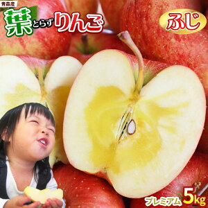 Gg[Ń|Cg5{ tς̉e͊ẪTC ytƂ炸 ӂ5kg v~Az p(14-18) {X  S[h_ Ε Mtg Tӂ  S ь A