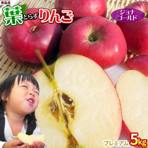 Gg[P5{I1/2ő100PobN tς̉e͊ẪTC ytƂ炸 WiS[h5kg v~Az(14-18)p {X S[h_   S [