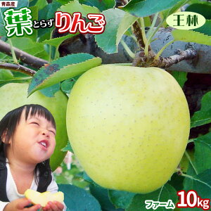 Gg[Ń|Cg5{ tς̉e͊ẪTC ytƂ炸 10kg t@[z ƒp(13-23×2i) {X S[h_  S[h_YVN S ь A