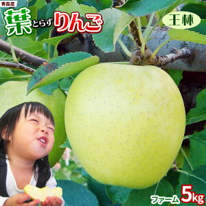 Gg[P5{I1/2ő100PobN tς̉e͊ẪTC ytƂ炸 5kg t@[z ƒp(13-23) {X S[h_  S[h_YVN 