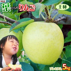 Gg[P5{I1/2ő100PobN tς̉e͊ẪTC ytƂ炸 5kg v~Az p(14-18) {X S[h_  S[h_YVN