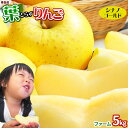 りんご の常識を変える★葉とらず栽培 送料無料 本場青森ゴールド農園 きいろの【葉とらずりんご シナノゴールド5kg ファーム】（13-23玉） 青森りんご 販... ランキングお取り寄せ