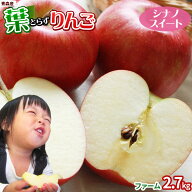 エントリーでポイント5倍 葉っぱの影は甘さのサイン 【葉とらずりんご シナノスイート2.7kg ファーム】家…