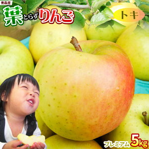 Gg[P5{I1/2ő100PobN tς̉e͊ẪTC ytƂ炸 gL5kg v~Azp(14-18) {X S[h_   S Ƃ [Yn