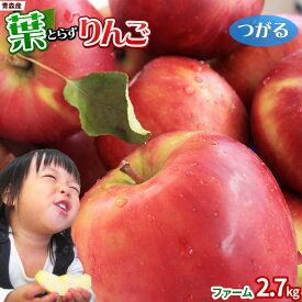 エントリーでポイント5倍 葉っぱの影は甘さのサイン 【葉とらずりんご つがる2.7kg　ファーム】家庭用 (7～12玉) 送料無料 本場青森 ゴールド農園から産直新鮮便 リンゴ 林檎 アップル 訳あり 青森 りんご 訳あり [※産地直送のため同梱不可]「GOLD」