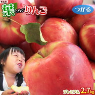 エントリーでポイント5倍 葉っぱの影は甘さのサイン 【葉とらずりんご つがる2.7kg　プレミアム】贈答用(…