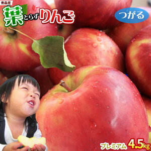 Gg[P5{I1/2ő100PobN tς̉e͊ẪTC ytƂ炸 4.5kg@v~Azp(14`18)  {X S[h_YVN S 