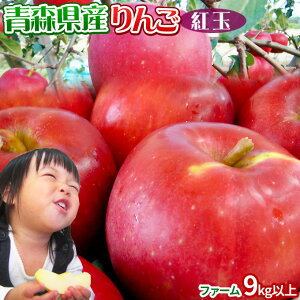 Gg[Ń|Cg5{  yXY g t@[9kgȏz26-56 ƒp  S[h_  S A AbvpC[Yn̂ߓs]