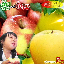 葉っぱの影は甘さのサイン 【葉とらずりんご ふじ＋シナノゴールド5kg プレミアム】 贈答用(14-18玉) 本場青森 送料無料 ゴールド農園 お歳暮 ギフト サンふじ りんご リンゴ 林檎 アップル 青森りんご [産地直送同梱不可]「GOLD」