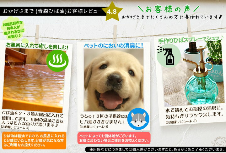 青森ひば精油1lamp 青森ひば水1lセット ヒノキチオール2 以上含有 アロマオイル エッセンシャルオイル 青森ヒバ油 青森ひば蒸留水 送料無料 男女兼用