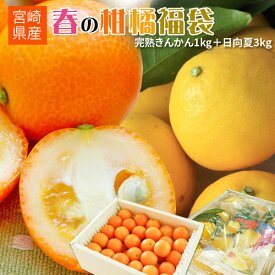 エントリーでP5倍＆当選率1/2最大100％Pバック 【春の柑橘福袋（きんかん1kg＋日向夏3kg）】 送料無料 特別セット まるかじり完熟きんかん1kgと、高級柑橘日向夏3kg（家庭用）のスペシャルセット！