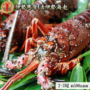 ���I��1/2�ő�100���|�C���g�o�b�N �V�N�������܂܂��͂� �y�ɐ��C�V�Z�b�g ��500g�O��i2�|3���j�z �������� �ɐ��u���̃v���~�A�� �ɐ��G�r ���Y�n������ ���Ε� ���I �M�t�g [���퉷��][��